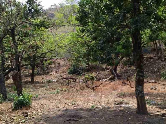 Terreno en Venta en Malinalco Centro