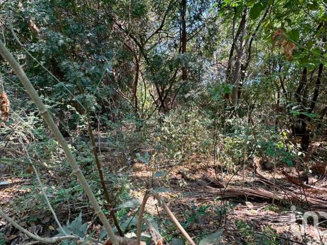 Terreno en venta en Manzanillo, por albercas de Chava Vargas