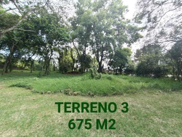 Terreno en venta en Mariano Escobedo, Coatepec, Veracruz de Ignacio de la Llave