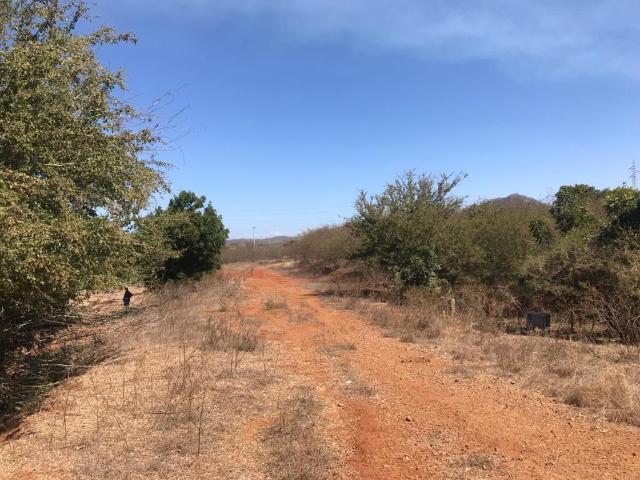 TERRENO EN VENTA EN MARINA UNIVERSIDAD