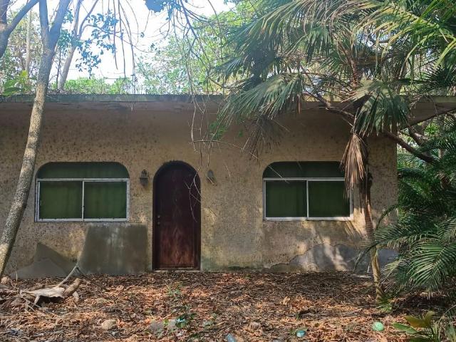Terreno en venta en Mata de Uva Alvarado