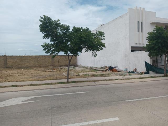 Terreno en Venta en Mayorca