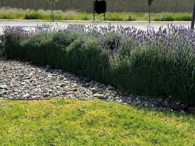 TERRENO EN VENTA EN MAYORCA RESIDENCIAL PALMA MEDITERRANEA