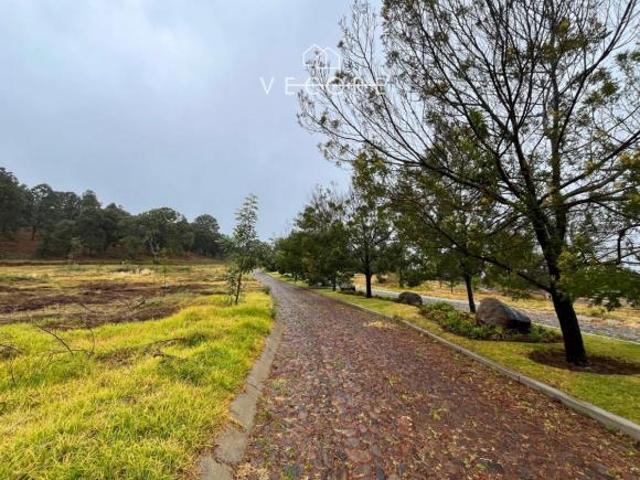 TERRENO EN VENTA EN MAZAMITLA, JALISCO