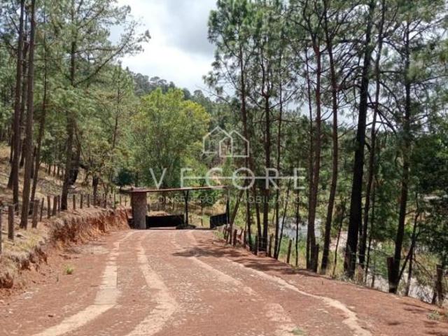 TERRENO EN VENTA EN MAZAMITLA, JALISCO