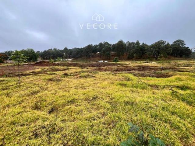 TERRENO EN VENTA EN MAZAMITLA, JALISCO