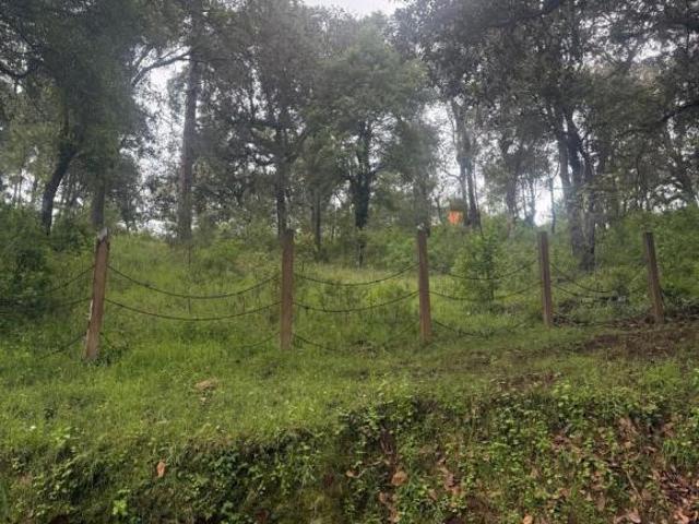 TERRENO EN VENTA EN MAZAMITLA RESIDENCIAL EL TIGRE