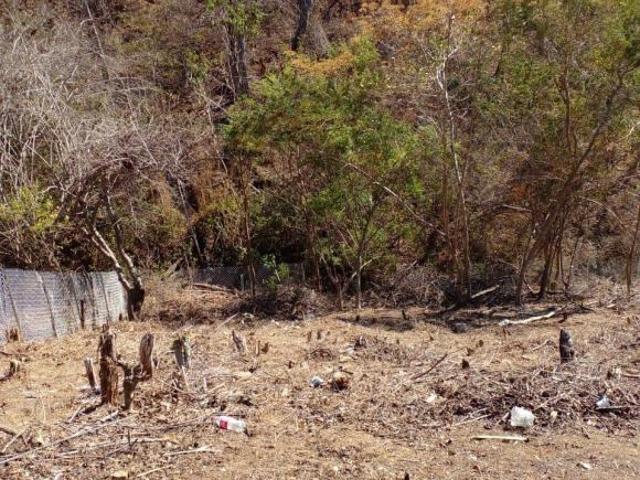 Terreno en Venta en Mazunte con Vista al Mar | A 250 m de la Ca