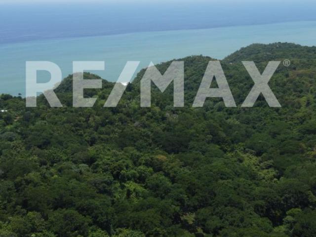 TERRENO EN VENTA EN MAZUNTE CERRO LA MERMEJITA