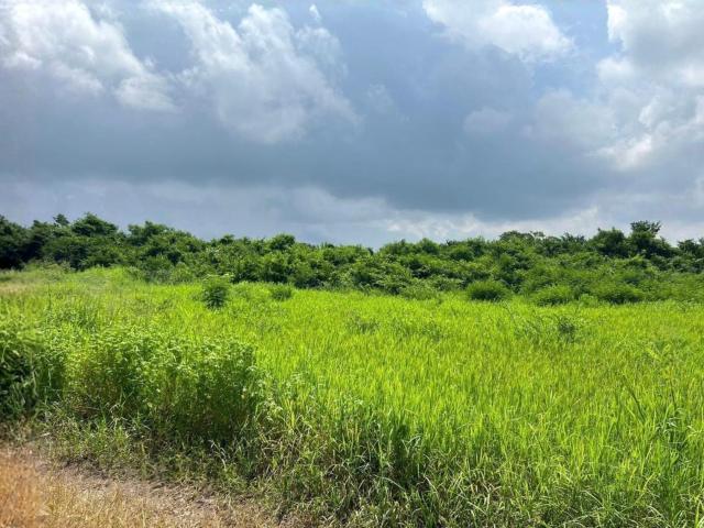 TERRENO en venta en MEDELL?N