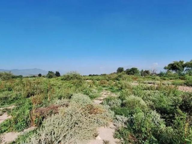 Terreno en Venta en Mesón del Norte, Ramos Arizpe, Coahuila de Zaragoza