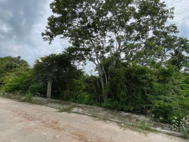 Terreno en venta en Mérida Yucatán, Dzityá, cerca del fracc las Américas