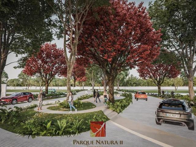 TERRENO EN VENTA EN MERIDA YUCATAN PARQUE NATURA II