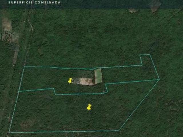 Terreno en venta en Mérida de 42 hectáreas en venta en Kanasín