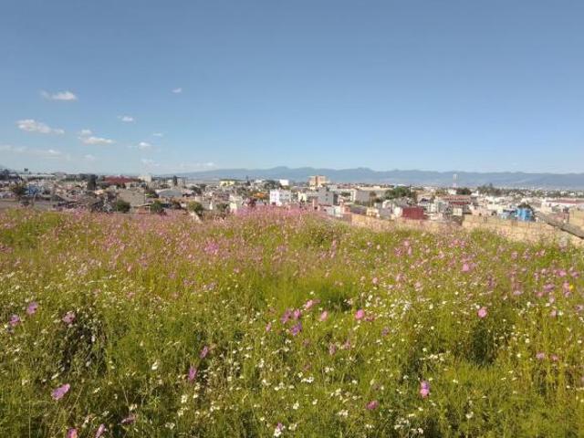 Terreno En Venta en Metepec a 6 minutos del Centro de Metepec