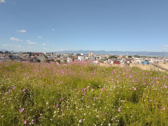 Terreno En Venta en Metepec a 6 minutos del Centro de Metepec