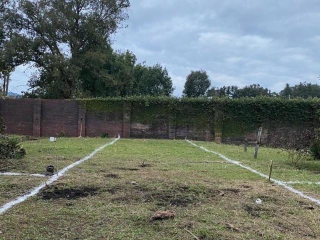 TERRENO EN VENTA EN MI RANCHITO, XICOTEPEC