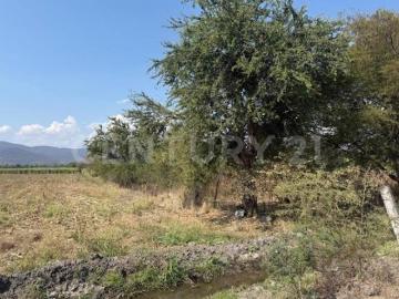 TERRENO EN VENTA EN MIACATLAN MORELOS