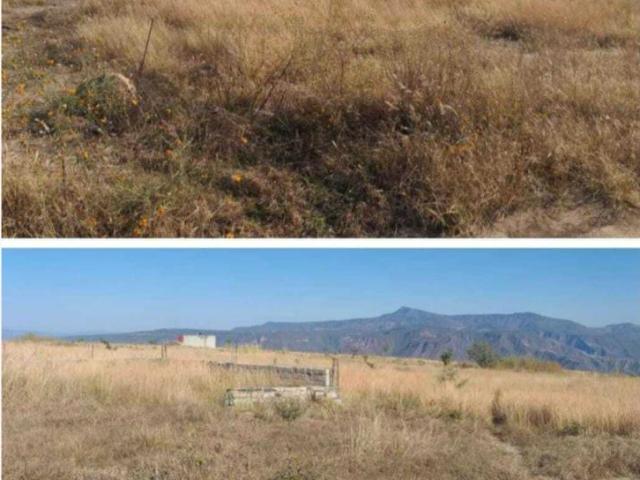 Terreno en venta en Milpillas, Atotonilco El Alto, Jalisco