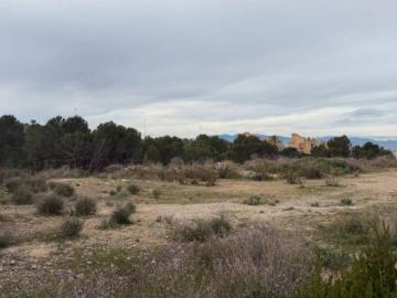 Terreno en venta en Altorreal