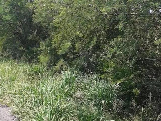 Terreno en venta en Montemorelos