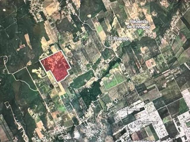 Terreno en Venta en Montemorelos