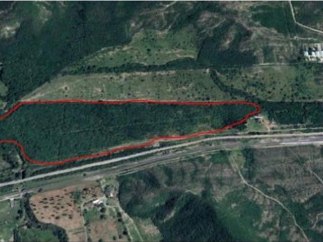 Terreno en venta en Montemorelos Centro, Montemorelos, Nuevo León