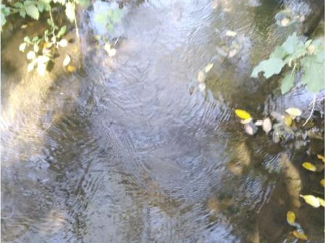 Terreno en venta en Montitlán, Cuauhtémoc, Colima