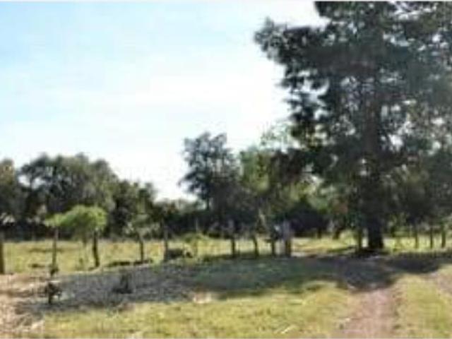 Terreno en venta en Montitlán, Cuauhtémoc, Colima