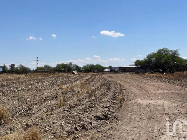 TERRENO EN VENTA EN MONTORO AGUASCALIENTES SUP. 12 HECTAREAS
