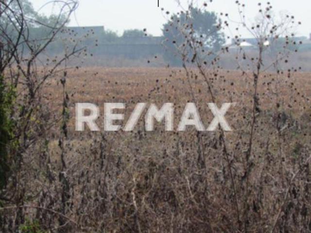 Terreno en Venta en Morelos, Ayala