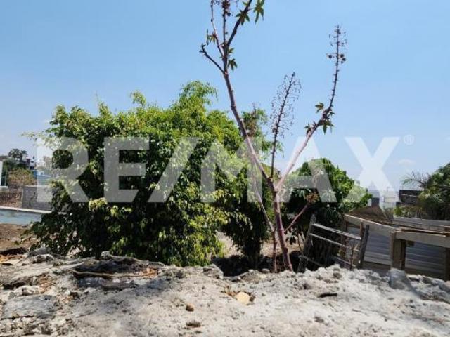 Terreno en Venta en Morelos, Fracc Real de Oaxtepec