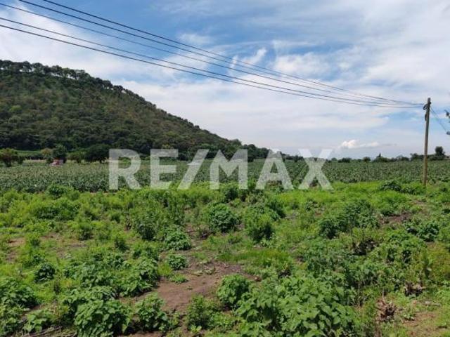 Terreno en Venta en Morelos, Totolapan