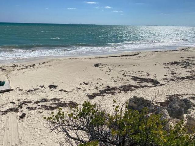 Terreno en venta en nueva zona diamante Costa mujeres Cancún Coldwell Banker