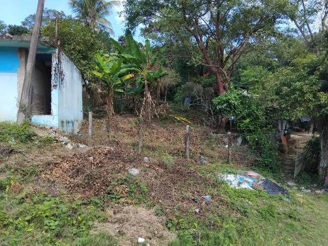 Terreno en venta en Nacional, Poza Rica de Hidalgo, Veracruz de Ignacio de la Llave