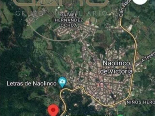 TERRENO EN VENTA Naolinco, Ver