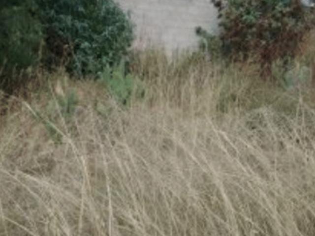 Terreno en venta en Noxtongo, Tepeji del Río de Ocampo, Hidalgo