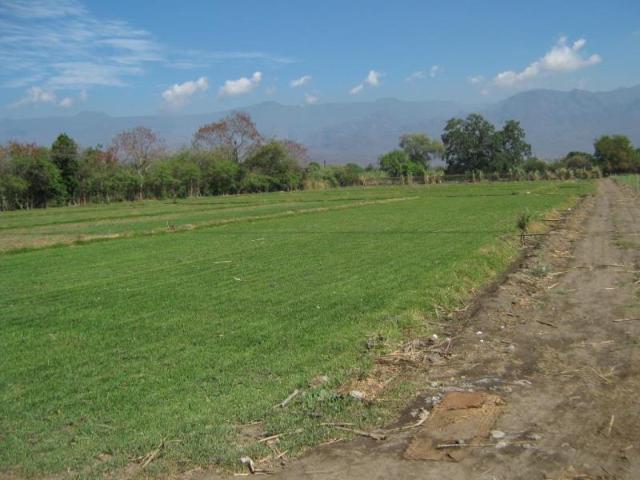 Terreno en venta en Oacalco, Yautepec, Morelos