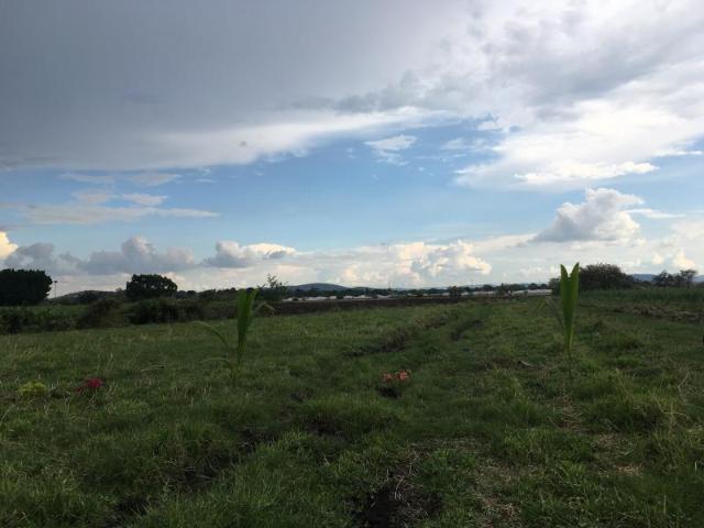 Terreno en venta en Oacalco, Yautepec, Morelos