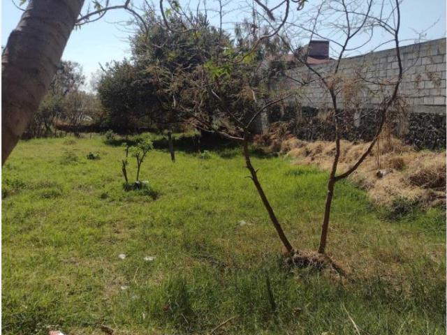 Terreno en venta en Oaxtepec Centro, Yautepec, Morelos