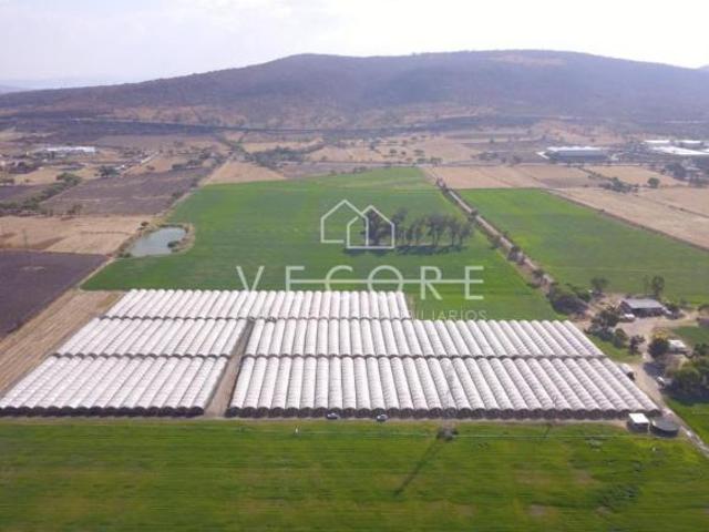 TERRENO EN VENTA EN OCOTLÁN, JALISCO