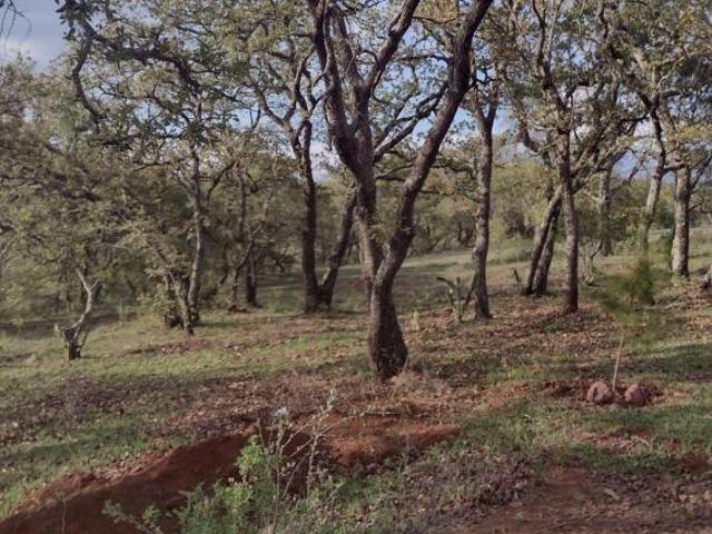 TERRENO EN VENTA EN OJO DE AGUA,EN EL PUEBLO MAGICO DE HUASCA,HGO