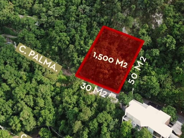 TERRENO EN VENTA EN OLINALA