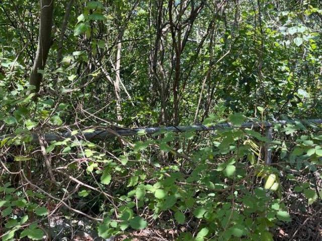 Terreno en venta en OLINALA
