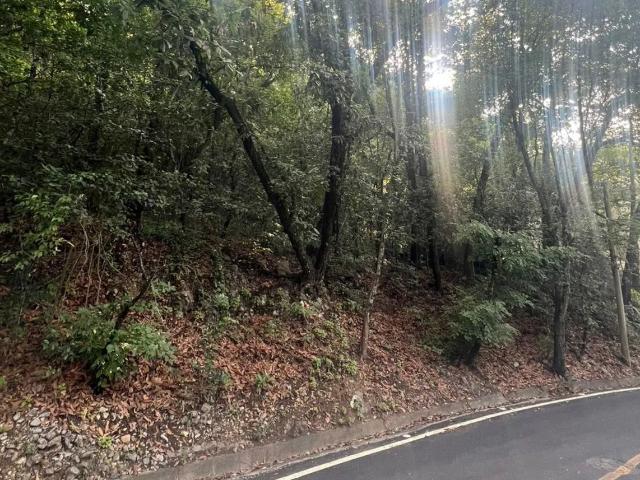 Terreno en Venta en Olinalá en San Pedro Garza García