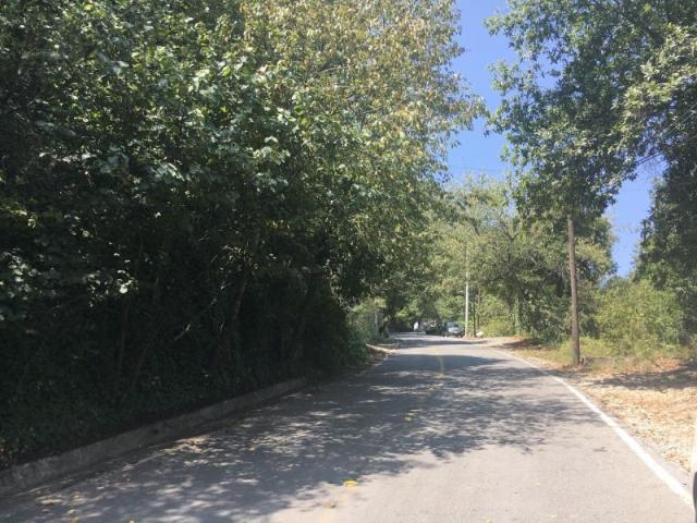 Terreno en venta en Olinala, San Pedro Garza García, Nuevo León