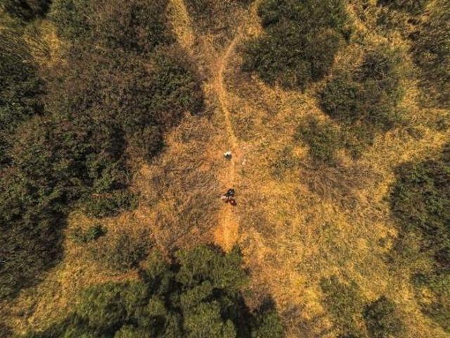 TERRENO EN VENTA EN OLIVAR DEL CONDE