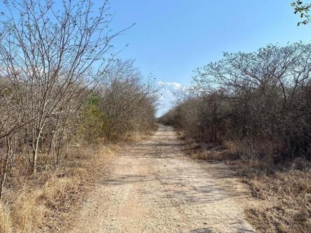 Terreno en venta en Olivos Conkal Yucatan