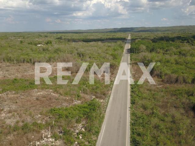 TERRENO EN VENTA EN OPICHÉN