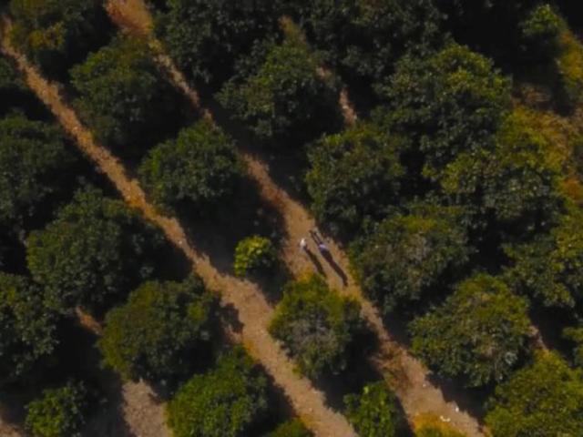 Terreno en venta en Atongo en Cadereyta Jim?nez